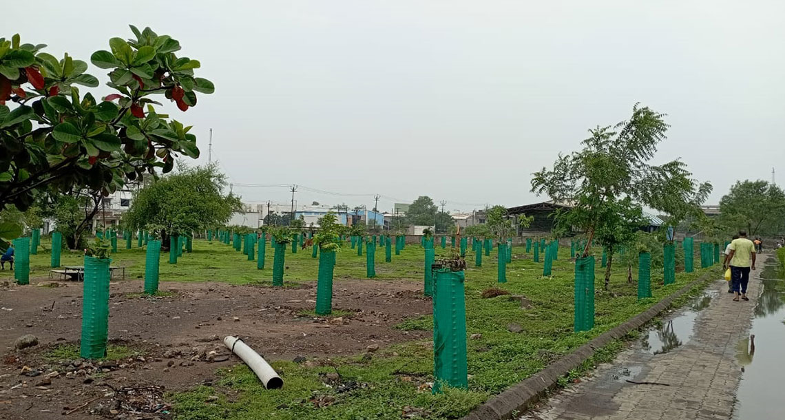 Tree Plantation, Bamanbore GIDC<br><br>